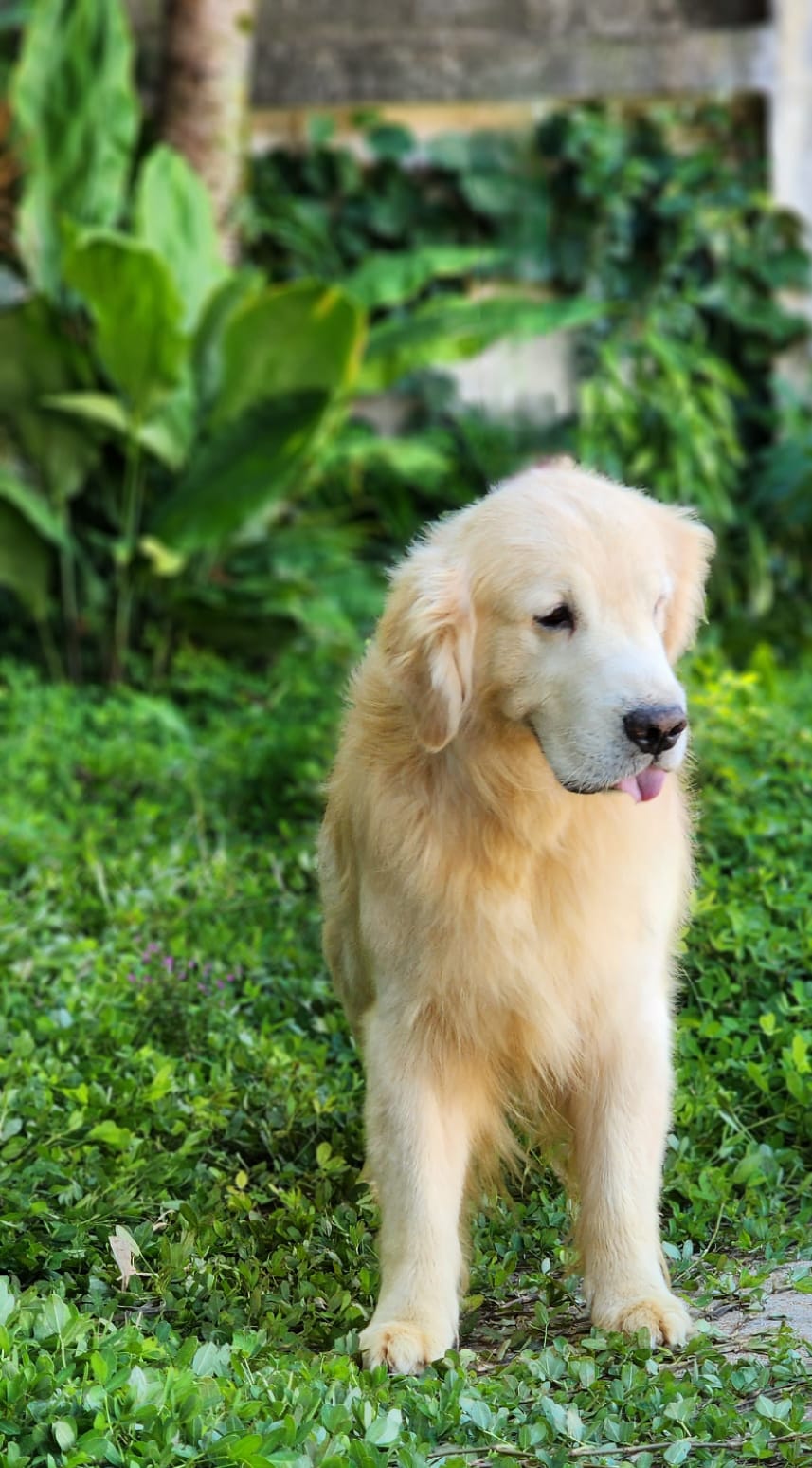 WhatsApp Image 2023-04-13 at 09.48.08 (2).jpeg