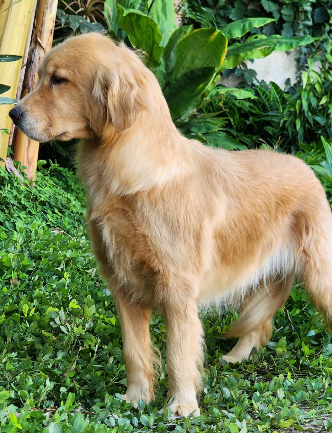 WhatsApp Image 2023-04-13 at 09.48.07.jpeg