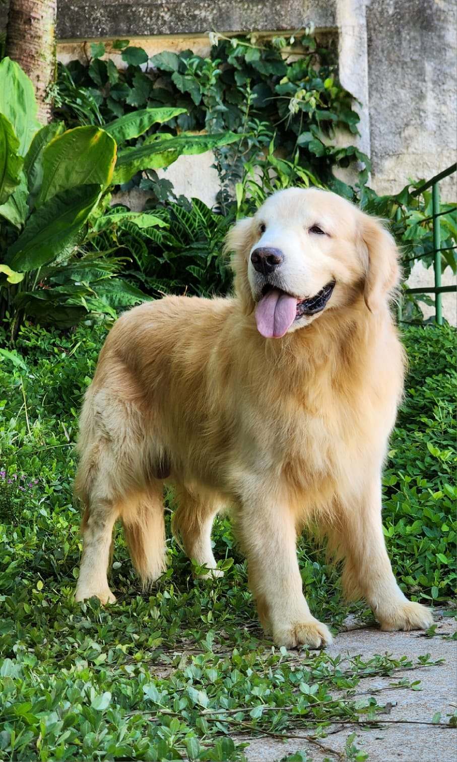 WhatsApp Image 2023-04-13 at 09.48.08 (1).jpeg