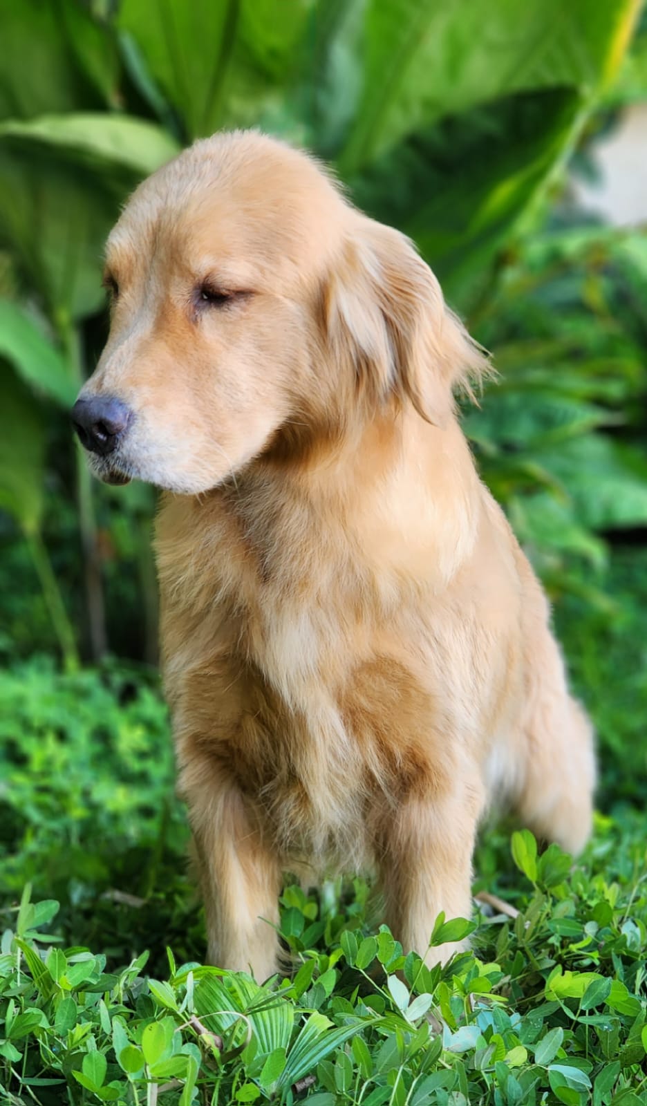 WhatsApp Image 2023-04-13 at 09.48.06.jpeg