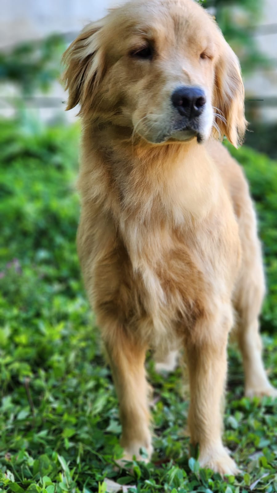 WhatsApp Image 2023-04-13 at 09.48.06 (2).jpeg