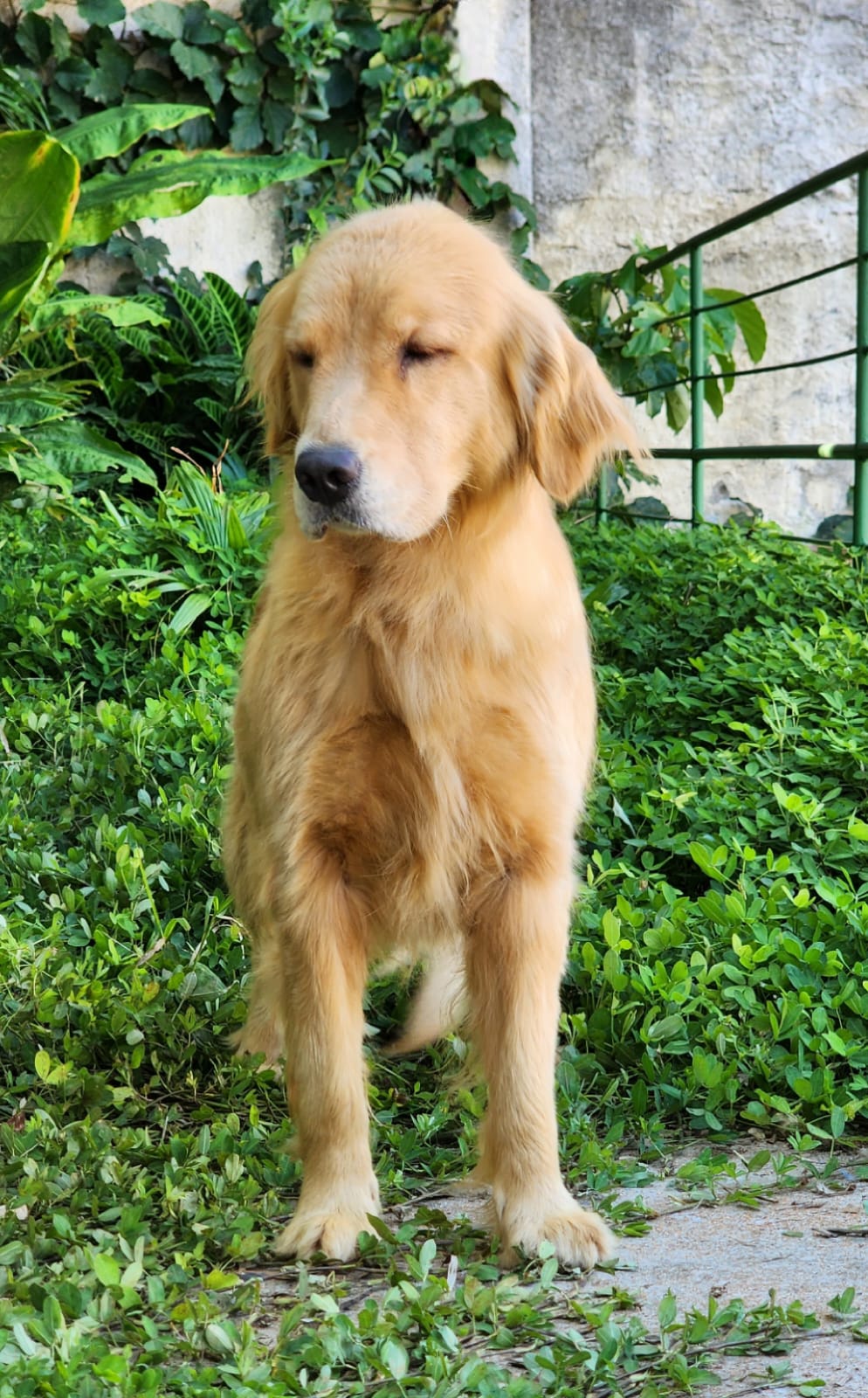 WhatsApp Image 2023-04-13 at 09.48.07 (3).jpeg