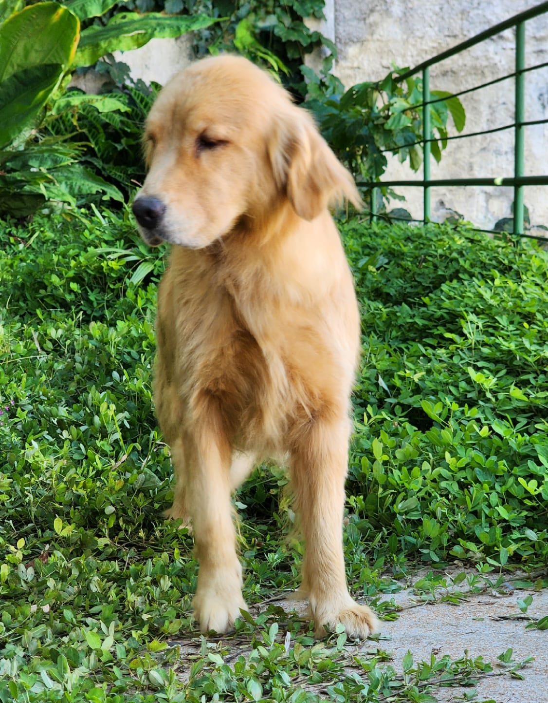 WhatsApp Image 2023-04-13 at 09.48.07 (1).jpeg