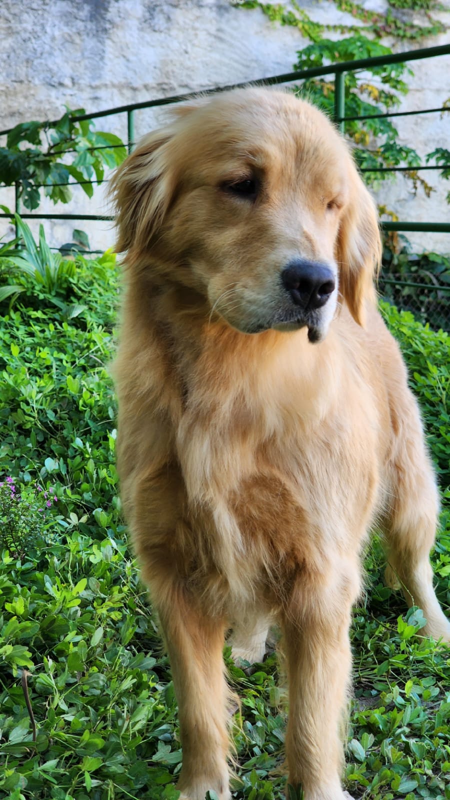 WhatsApp Image 2023-04-13 at 09.48.06 (3).jpeg