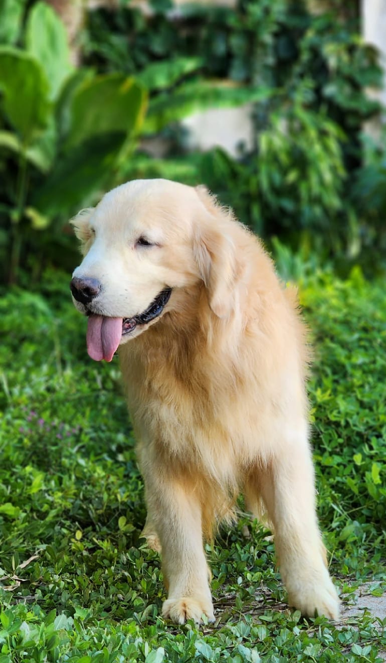 WhatsApp Image 2023-04-13 at 09.48.08 (3).jpeg