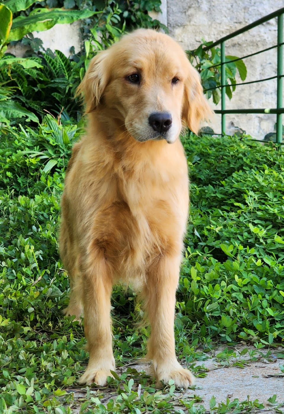 WhatsApp Image 2023-04-13 at 09.48.07 (2).jpeg