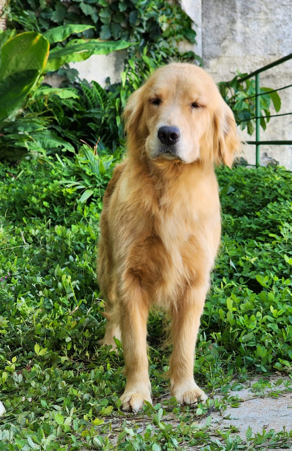 WhatsApp Image 2023-04-13 at 09.48.07 (4).jpeg